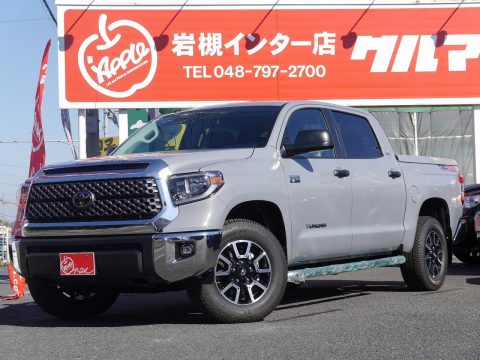 新車　2018　モデル　トヨタ　ﾀﾝﾄﾞﾗ　希少色　セメントグレー (1)